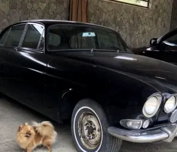 ფოტო 1 JAGUAR MK II 1968 thumb