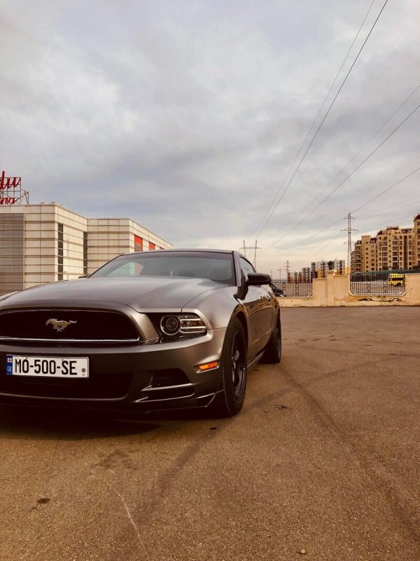 ფოტო 5 FORD Mustang 2013
