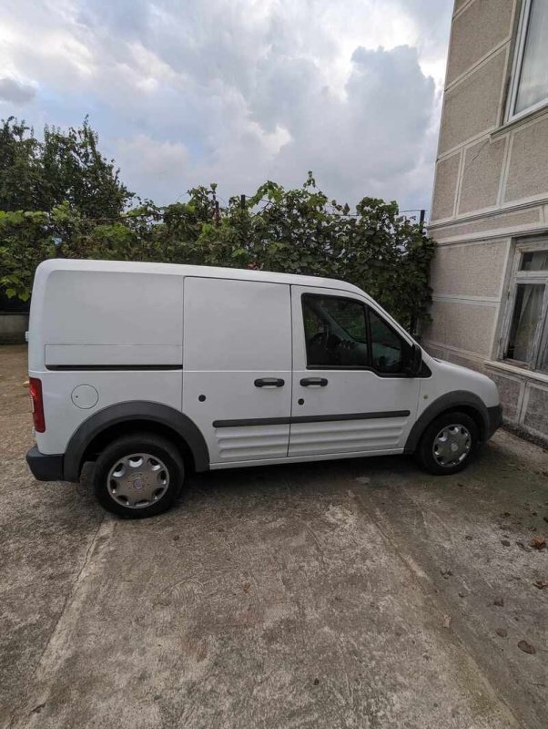 ფოტო 7 FORD Tourneo Connect 2010