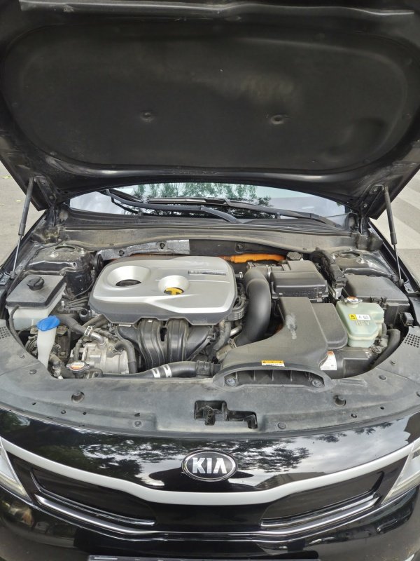 ფოტო 8 KIA Optima 2017
