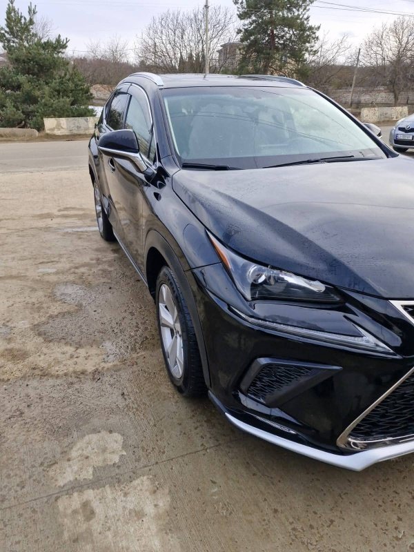 ფოტო 9 LEXUS NX 2016